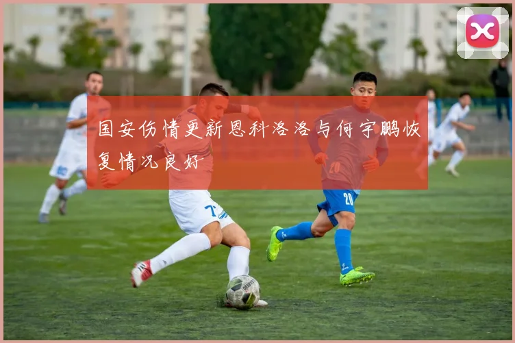 国安伤情更新恩科洛洛与何宇鹏恢复情况良好