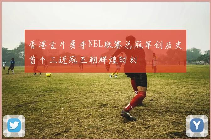 香港金牛勇夺NBL联赛总冠军创历史首个三连冠王朝辉煌时刻